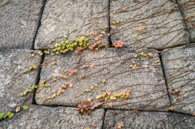 Taş duvar dokusu arkaplanı