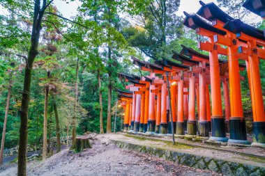 Kırmızı Tori kapıda Fushimi Inari tapınak tapınak Kyoto, Japonya