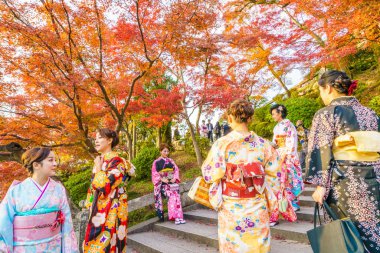 Kyoto, Japonya-ö. 2 Aralık: bir kimono giyen güzel genç kadın
