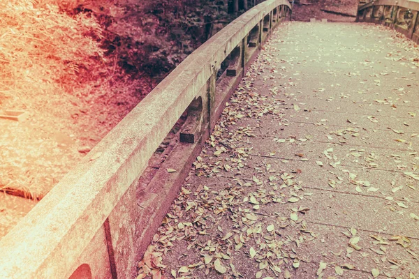 Way in forest .  ( Filtered image processed vintage effect. ) — Stock Fotó