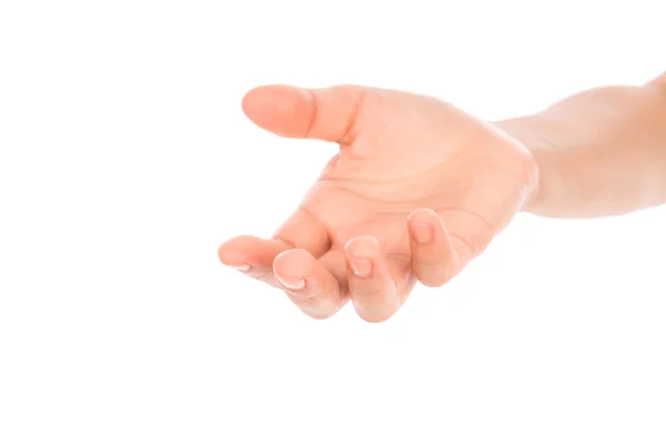 Hermosa mano de mujer sosteniendo aislado sobre fondo blanco  . —  Fotos de Stock