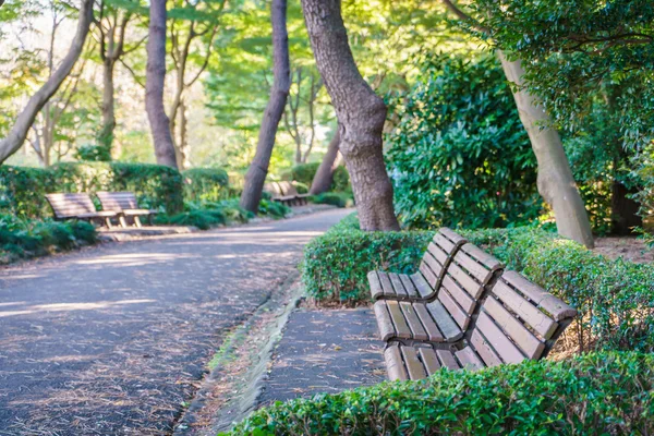 Wooden bench in the park — Stock Photo, Image