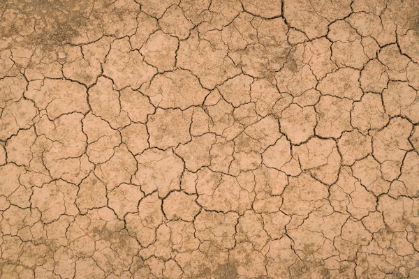 Textura del suelo seca y agrietada  . —  Fotos de Stock