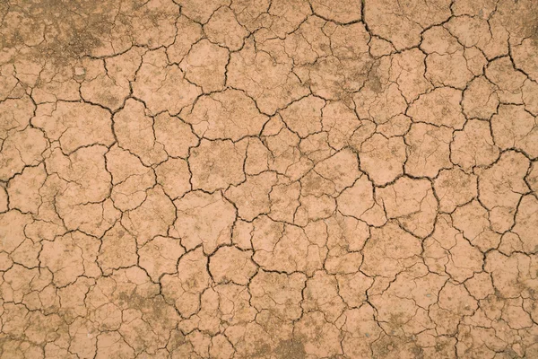 Textura del suelo seca y agrietada  . — Foto de Stock