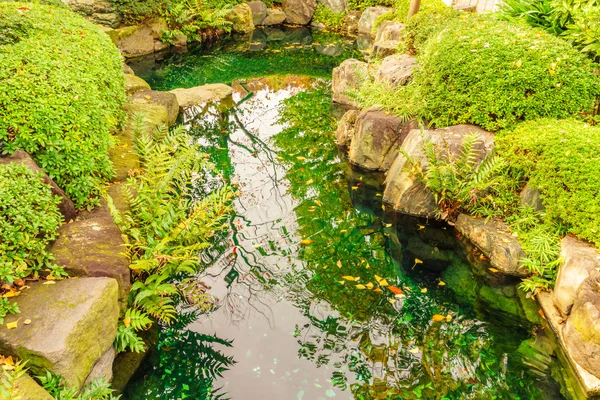 水夏の公園 — ストック写真