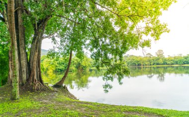 Göl, Ang Kaew Chiang Mai Universi yönü ile güzel yeşil park
