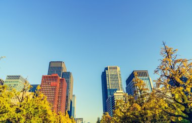 Tokyo, Japonya cityscape (filtre uygulanmış görüntü işlenen vintage etkisi
