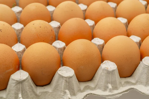 Свіжі яйця в упаковці  . — стокове фото