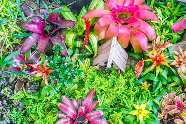 Paesaggio di giardino fiorito  . — Foto Stock