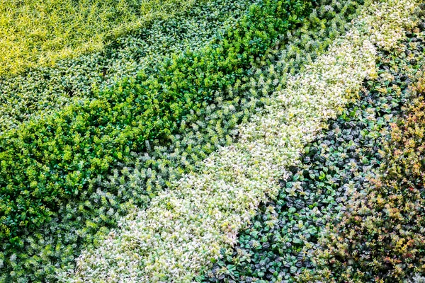 Grama artificial multicolor., Imagens de alta definição — Fotografia de Stock