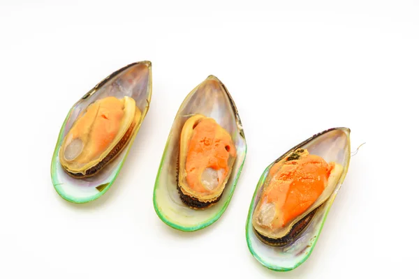 Verse mossel op witte achtergrond . — Stockfoto