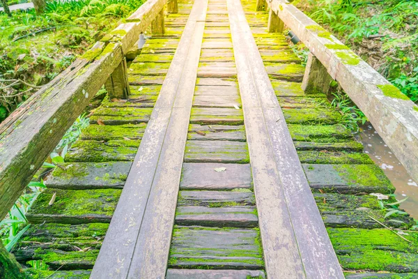 Jembatan kayu di hutan hijau tropis ditutupi dengan lumut  . — Stok Foto