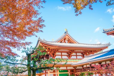 Byodo içinde tapınak Kyoto, Japonya