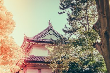 Tokyo, Japonya (Filtered pro görüntü güzel İmparatorluk Sarayı