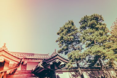 Tokyo, Japonya (Filtered pro görüntü güzel İmparatorluk Sarayı
