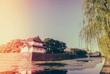 Tokyo, Japonya (Filtered pro görüntü güzel İmparatorluk Sarayı