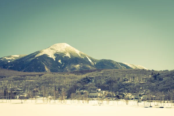 冻结在冬天时间日本冬季山 （筛选湖 — 图库照片