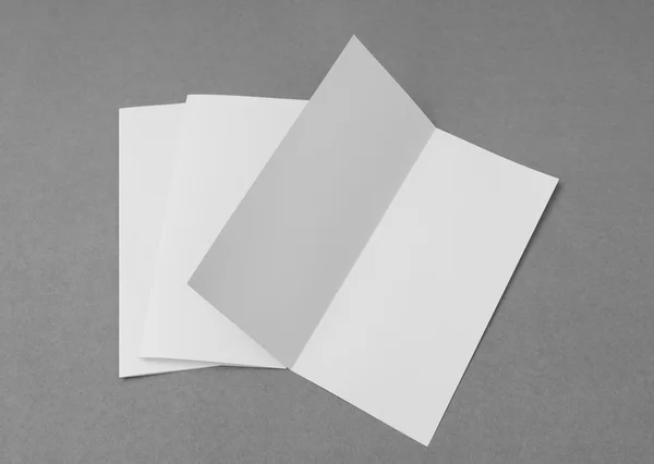 Papel modelo branco bifold no fundo cinza  . — Fotografia de Stock