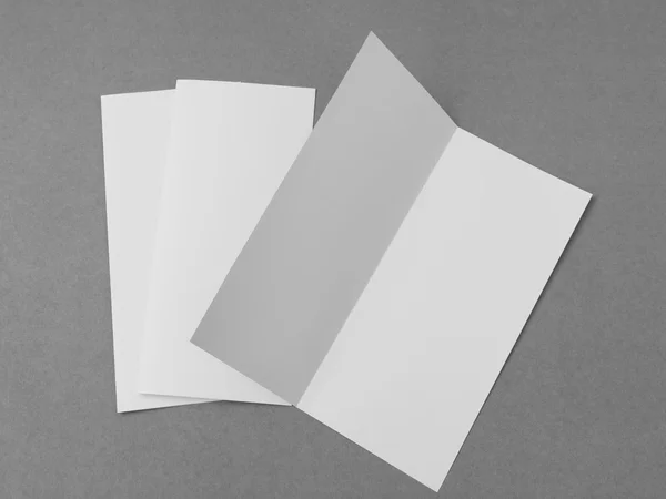 Todelt hvitt malepapir med grå bakgrunn  . – stockfoto