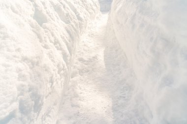 Karla kaplı kış ağaçları