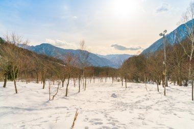 Karla kaplı kış ağaçları