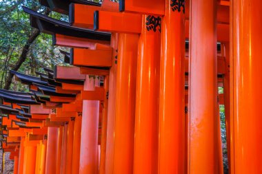 Kırmızı Tori kapıda Fushimi Inari tapınak tapınak Kyoto, Japonya