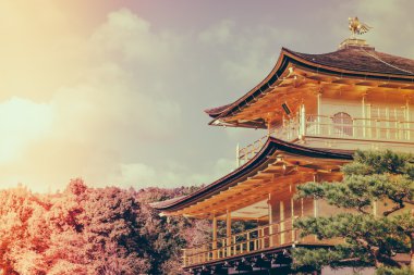 Kinkakuji Tapınağı 