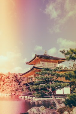 Kinkakuji Tapınağı 