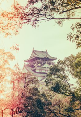 Japonya'nın Osaka Osaka Kalesi (filtre uygulanmış görüntü işlenen vintage e