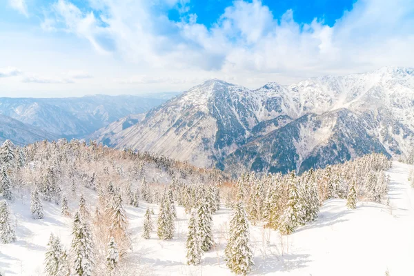 Japanischer Winterberg mit Schnee bedeckt — Stockfoto