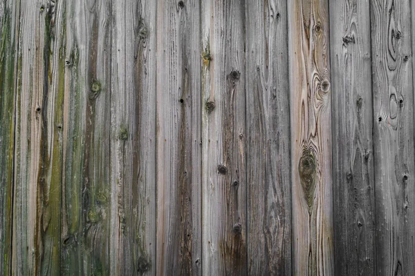 Afbeelding van hout textuur achtergrond — Stockfoto