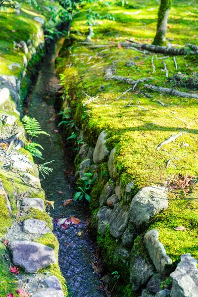 Wody rzeki płynącej obok kamienie w zielony mech — Zdjęcie stockowe
