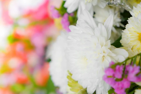 Hermosas flores para San Valentín y escena de boda —  Fotos de Stock