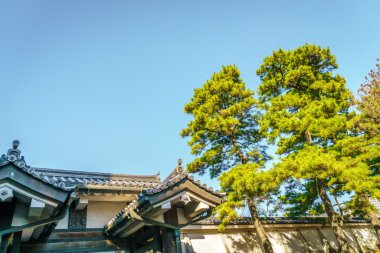Tokyo, Japonya 'daki güzel imparatorluk sarayı.