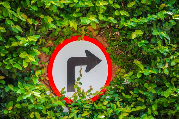 Turns to the right sign with green leaf — Stock Photo, Image