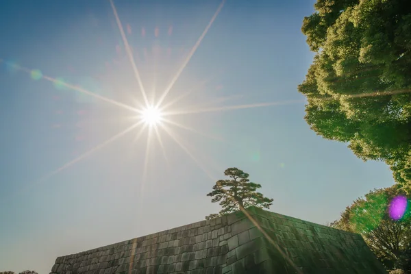 La fundación de una torre del castillo de Edo-jo, Japón —  Fotos de Stock