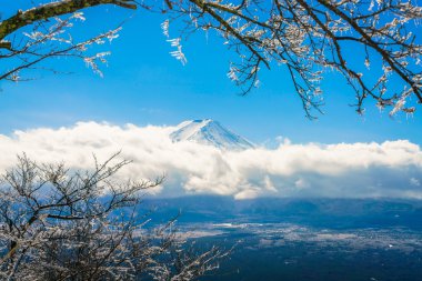 Dağ Fuji ağaçlar üzerinde buz kaplama ile