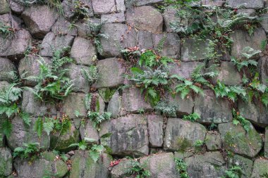 Taş duvar dokusu arkaplanı