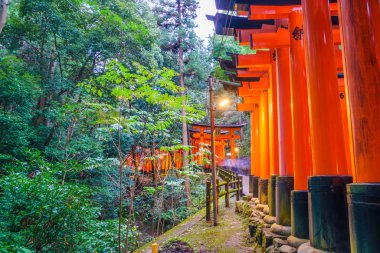 Kırmızı Tori kapıda Fushimi Inari tapınak tapınak Kyoto, Japonya