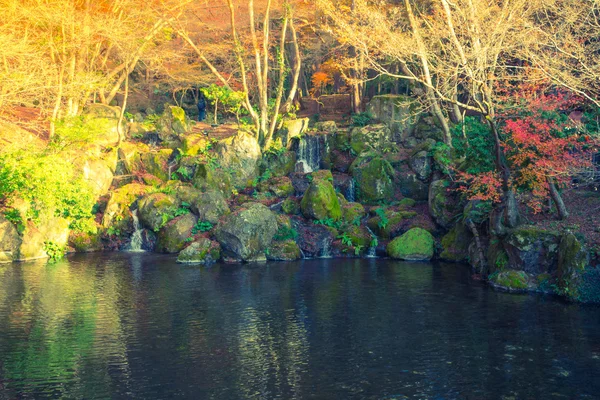 Nehir ile sonbahar orman (filtre uygulanmış görüntü işlenen vintage effe — Stok fotoğraf