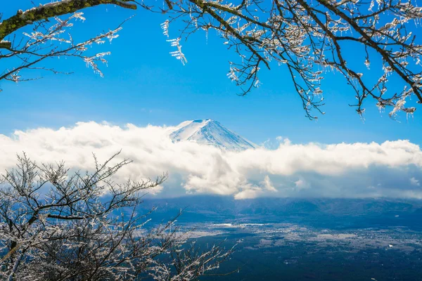 Berg Fuji met ijs coating op de bomen — Stockfoto