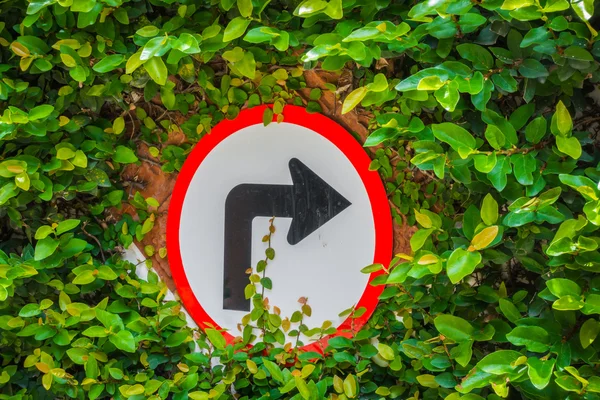 Vira-se para o sinal da direita com folha verde — Fotografia de Stock