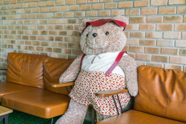 Sandalyede oturan sevimli ayıcık .