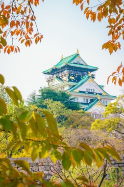 Osaka 'daki Osaka Kalesi