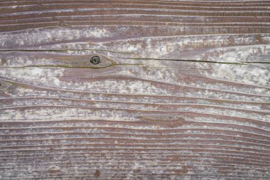Ahşap doku arka plan fotoğrafı