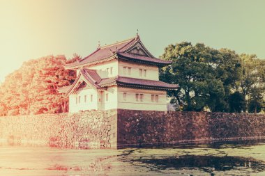 Tokyo, Japonya (Filtered pro görüntü güzel İmparatorluk Sarayı