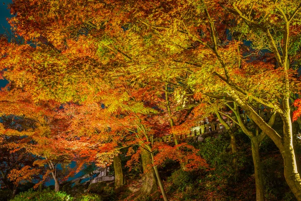 Spectacle laser de lumière à la belle architecture à Kiyomizu-dera T — Photo