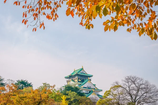 Castello di Osaka a Osaka Giappone — Foto Stock