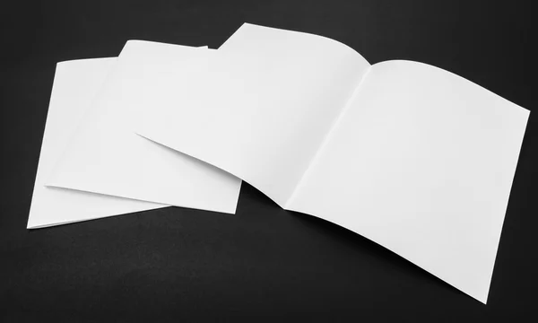 Papier modèle blanc Bifold sur fond noir  . — Photo