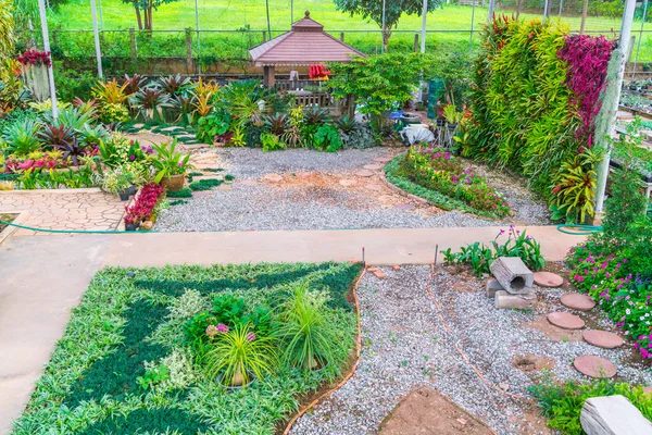 Paisajismo de jardín de flores  . —  Fotos de Stock